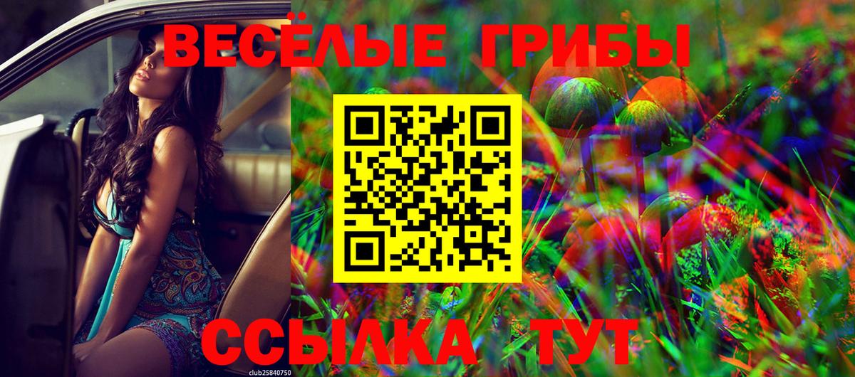 Псилоцибиновые грибы мицелий Курск