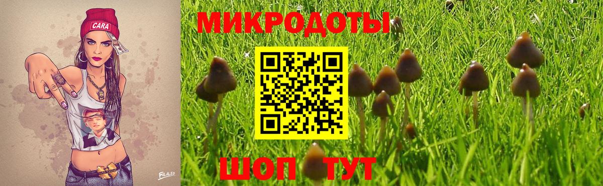 закладки  Псилоцибиновые грибы прущие грибы  Вход с VPN  Курск  Галлюциногенные грибы Magic Shrooms 